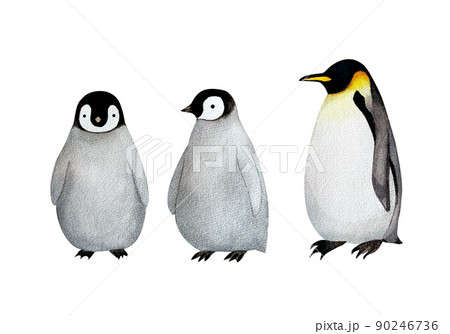 可愛いペンギンの親子の水彩画素材のイラスト素材 [90246736] - PIXTA
