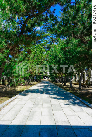 四国霊場第80番札所 讃岐国分寺（香川県高松市） 90247436