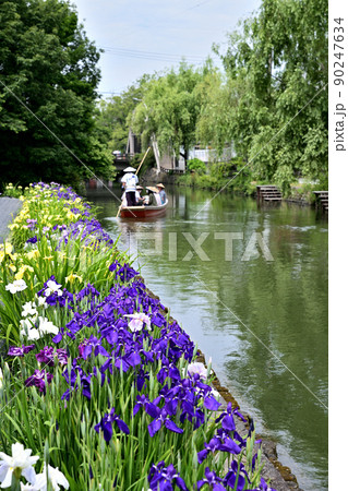 柳川市　川下り　巡る掘割　花菖蒲 90247634