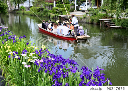 柳川市　川下り　巡る掘割　花菖蒲 90247676