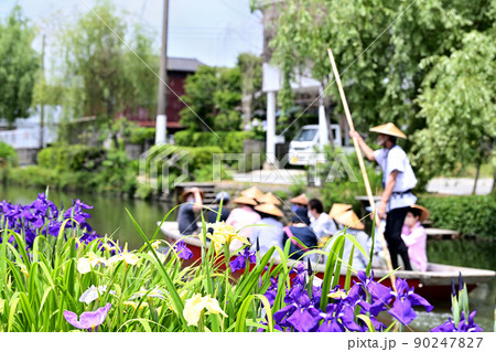 柳川市 川下り 巡る掘割 花菖蒲 柳川市 川下り 巡る掘割 花菖蒲 90247827
