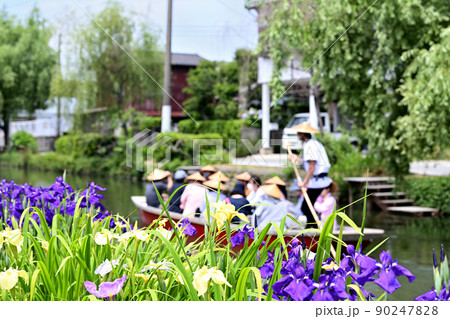 柳川市　川下り　巡る掘割　花菖蒲 90247828