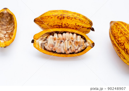 Cocoa fruit isolated on white background 90248907