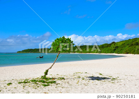 竹富島　コンドイ浜 90250181
