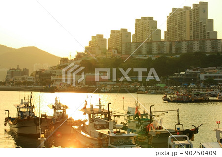 海岸 港 風景 90250409