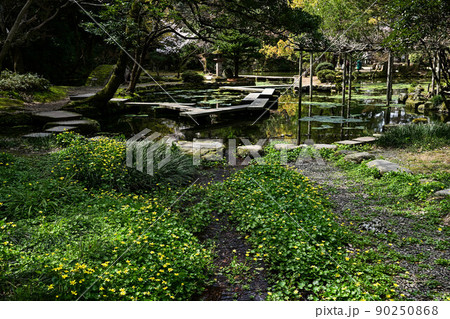 新緑の尾山神社 新緑の尾山神社 90250868