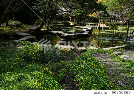 新緑の尾山神社 新緑の尾山神社 90250869