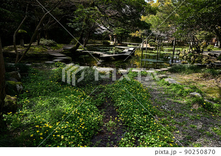 新緑の尾山神社 新緑の尾山神社 90250870