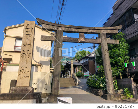 東京白山　あじさいの名所・白山神社 90251737