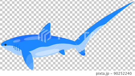 Thresher shark 90252240