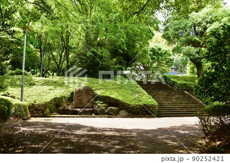 湯河原町 泉公園散策路と新緑 湯河原町 泉公園散策路と新緑 90252421