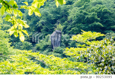 【島根県　仁多郡】鬼の舌震 90253095
