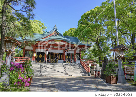 多摩川浅間神社　爽やかな新緑に包まれた境内　東京都大田区 90254053