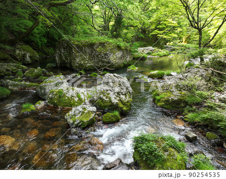 愛媛県内子町 小田深山渓谷の風景 愛媛県内子町 小田深山渓谷の風景 90254535