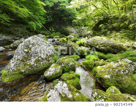 愛媛県内子町　小田深山渓谷の風景 90254549