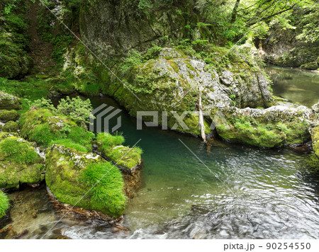 愛媛県内子町　小田深山渓谷の風景 90254550