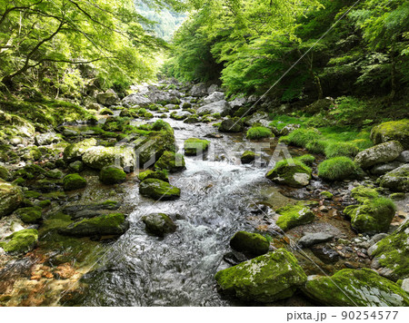 愛媛県内子町　小田深山渓谷の風景 90254577