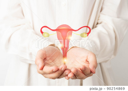 Healthy uterus and ovaries anatomy on doctor hands. Awareness of women health care such as endometriosis disease, PCOS, STDs, ovarian or cervical cancer screening. Gynecology and reproductive system. 90254869