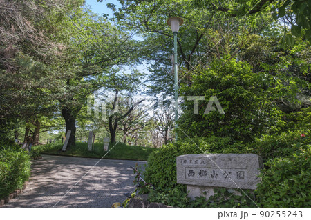 新緑が爽やかな公園の散歩道 西郷山公園 東京都目黒区 新緑が爽やかな公園の散歩道 西郷山公園 東京都目黒区 90255243
