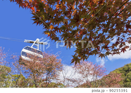 新穂高ロープウェイからの展望 　紅葉　ロープウェイ　穂高連峰　雪山　雪景色 90255391