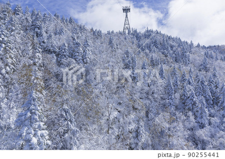 新穂高ロープウェイからの展望 紅葉 ロープウェイ 穂高連峰 雪山 雪景色 新穂高ロープウェイからの展望 紅葉 ロープウェイ 穂高連峰 雪山 雪景色 90255441