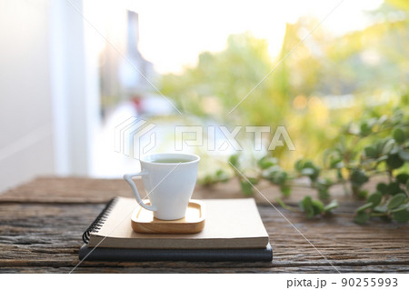 Small cup of coffee and notebooks and Peperomia Hope plant 90255993