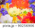 色々な花 90256906