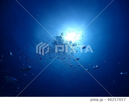 石垣島ダイビング・海底より海面を臨む 90257057