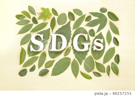 木の葉を並べたSDGsのイメージ 90257255