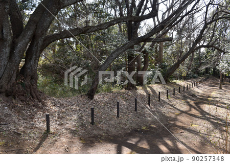 大庭城址　土塁と空堀 90257348