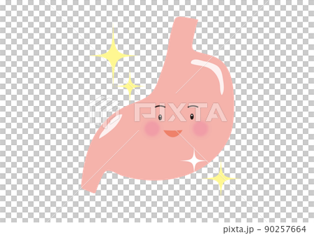 Healthy stomach character Healthy stomach character 90257664