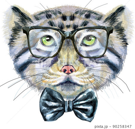 Watercolor portrait of a Manul Cat cat with big black glasses on white background 90258347