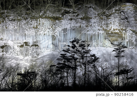 ライトアップされた神秘的で美しい氷のカーテン(白川氷柱群 長野県 木曽町) ライトアップされた神秘的で美しい氷のカーテン(白川氷柱群 長野県 木曽町) 90258416