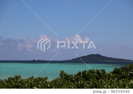 池間ブルー 池間ブルー 90259340