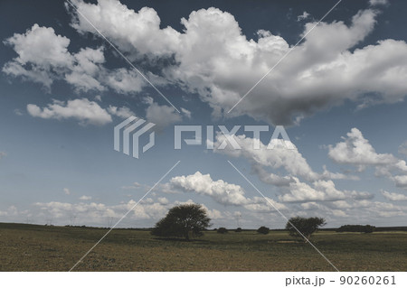 Argentine Pampas landscape, with cloudy sky 90260261