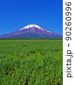 20220529梨が原(北富士演習場)からの富士山 20220529梨が原(北富士演習場)からの富士山 90260996
