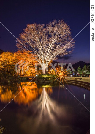 桜山公園のライトアップ風景 90261201