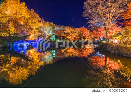 桜山公園のライトアップ風景 桜山公園のライトアップ風景 90261202