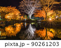 桜山公園のライトアップ風景 90261203
