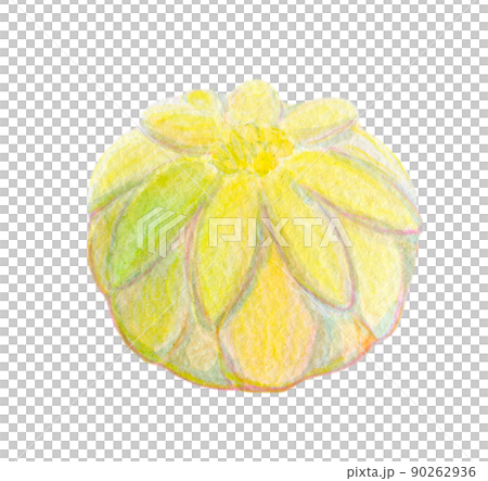 Japanese sweets Neri-kiri watercolor illustration 90262936