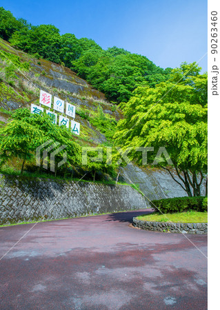 有馬ダム　名栗湖　天端付近の風景　春　新緑 90263460