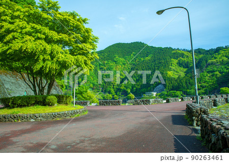 有馬ダム 名栗湖 天端付近の風景 春 新緑 有馬ダム 名栗湖 天端付近の風景 春 新緑 90263461