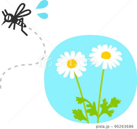 除虫菊の花と逃げる蚊 除虫菊の花と逃げる蚊 90263686