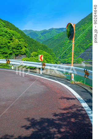 有馬ダム　名栗湖　湖畔　春　新緑の風景 90264640