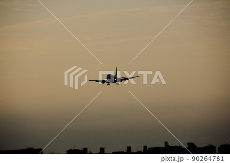 飛行機は夕景に悠然と着陸体制に入った。足を出し滑走路に懐かしさを抱えて 90264781