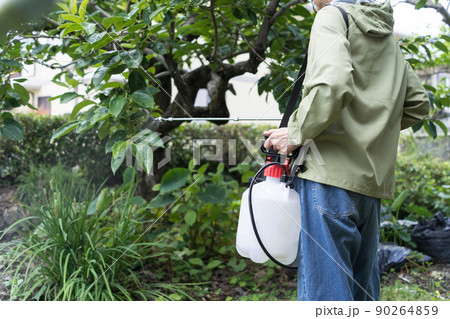 庭木の消毒 90264859