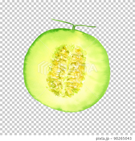 切半模擬手繪透明背景的瓜水彩畫 切半模擬手繪透明背景的瓜水彩畫 90265043