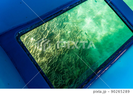 高知県土佐清水市　竜串海岸から見残し海岸への海底に見える日本最大のシコロサンゴ群落 90265289