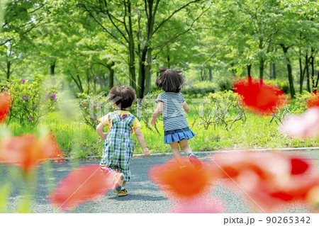 新緑の公園で遊ぶ姉と弟の後ろ姿 新緑の公園で遊ぶ姉と弟の後ろ姿 90265342