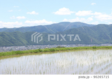 姨捨棚田(長野県千曲市八幡) 姨捨棚田(長野県千曲市八幡) 90265715